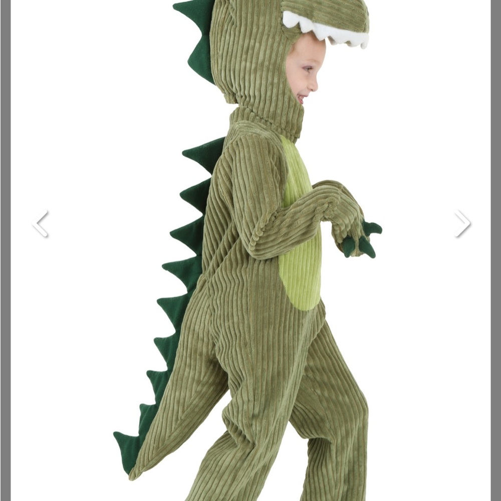 Kids Dinosaur Costume - Green